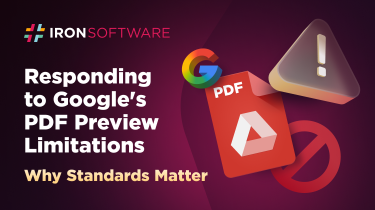 Why Standards Matter: Responding to Google's PDF Preview Limitations